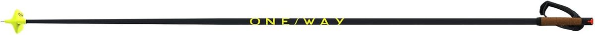 Test : bâtons Fischer OneWay Storm 6 Mag 175 cm 30 % carbone