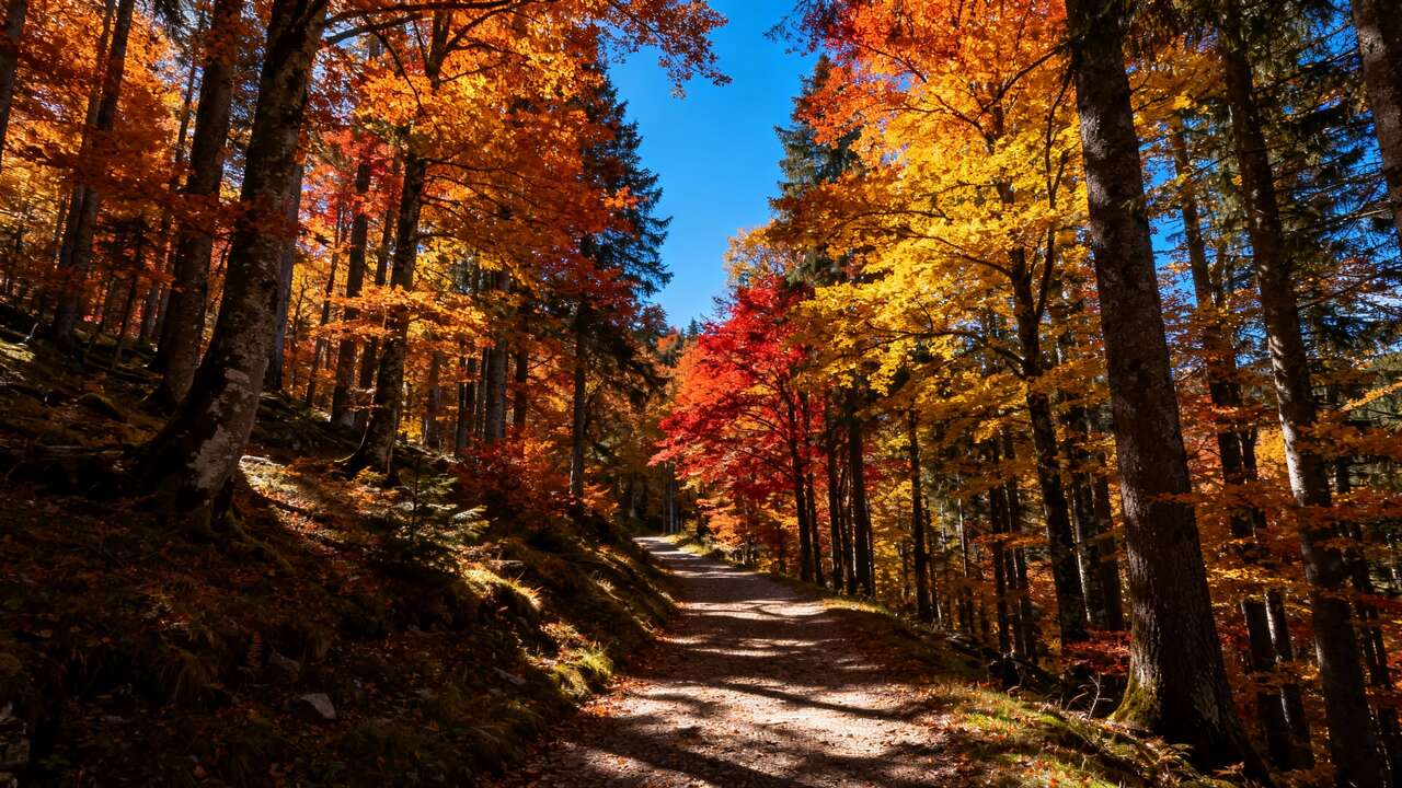 5 randonnées faciles pour découvrir les Vosges autrement