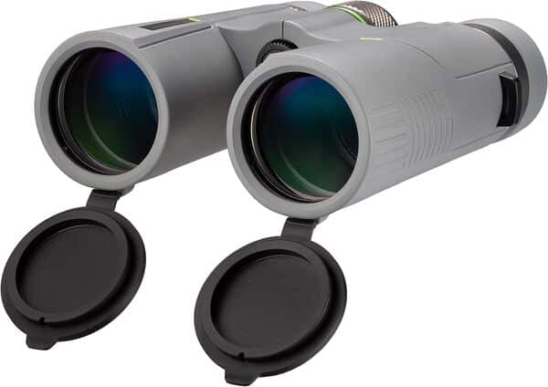 BRESSER Jumelles 8 x 42 Wave étanches avec Verre BAK-4, Traitement d'UR, oculaire de Porteur de Lunettes, Parfait pour l'observation de la Nature, Les Voyages et la randonnée Gris