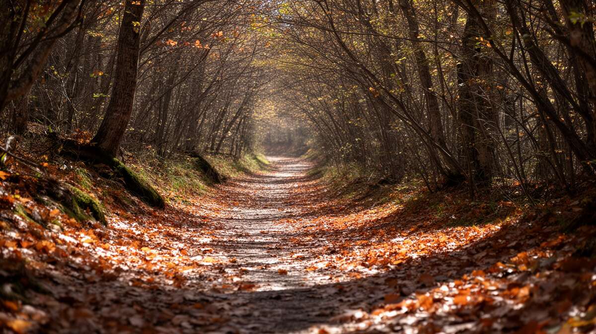 Les dangers des sentiers en p&eacute;riode de confinement