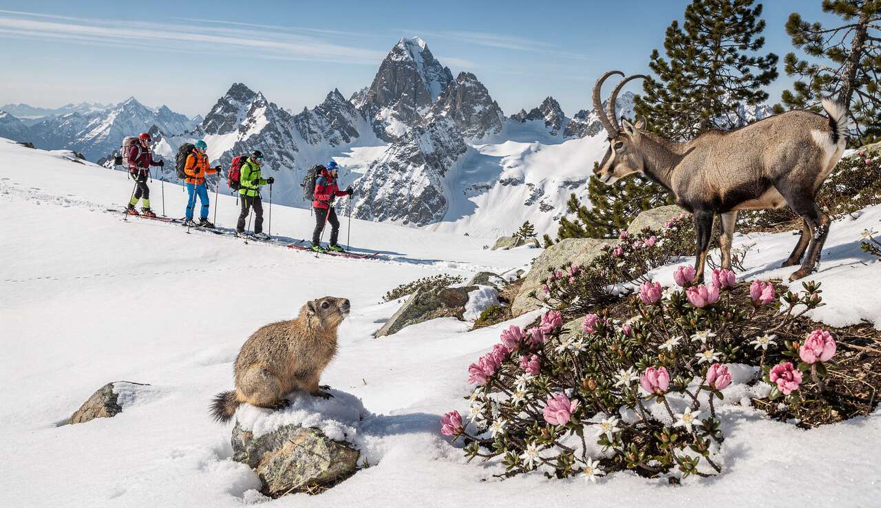 Rencontre avec la faune et la flore locale