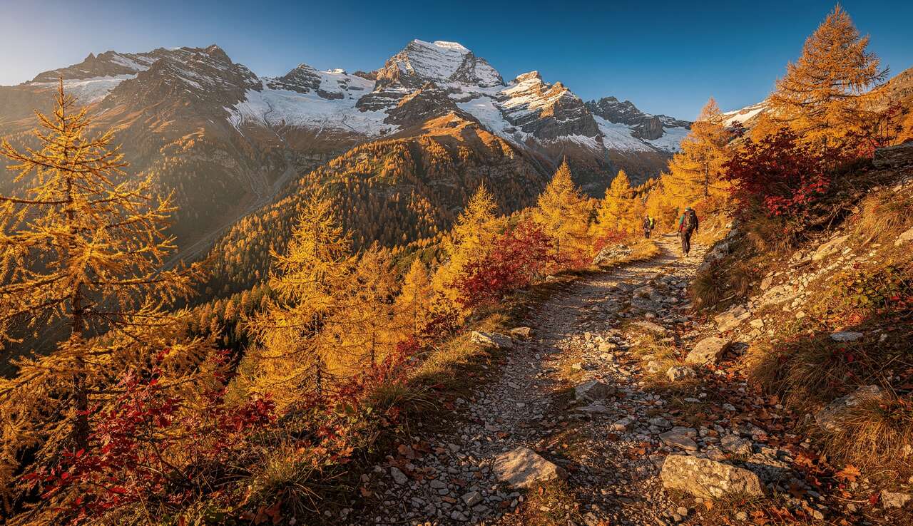 Les destinations incontournables de randoshow