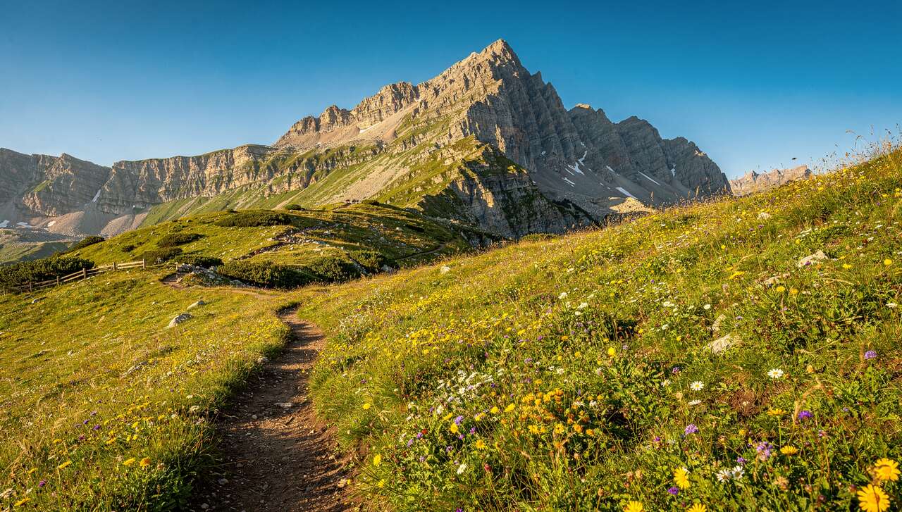 Acc&egrave;s au circuit de furfande