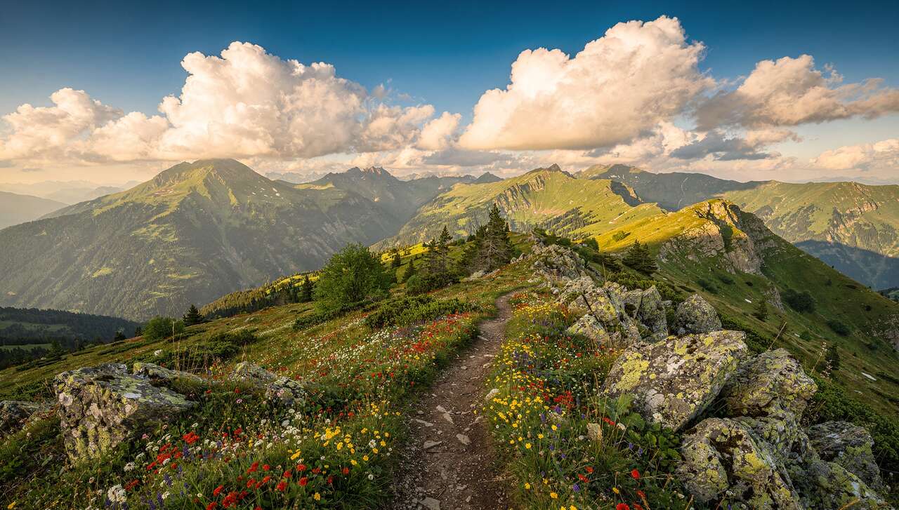 Pause au sommet : un col aux mille vues