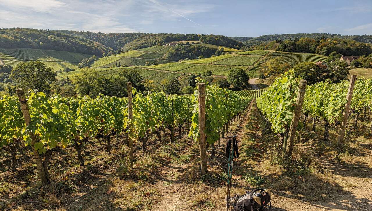 Jour 2 : le charme du vignoble du revermont